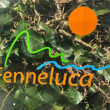 Fenneluca, Den Hoorn (North Holland)